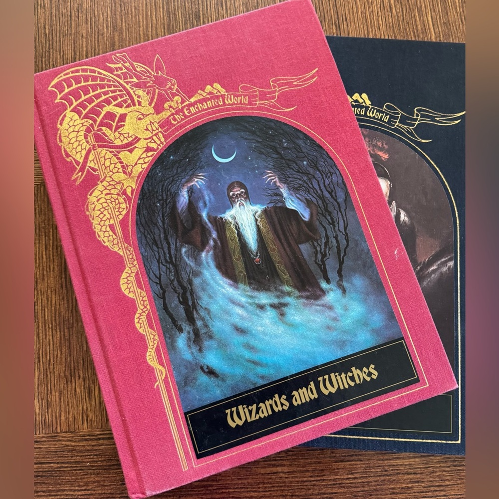 The Enchanted World -Wizards and Witches